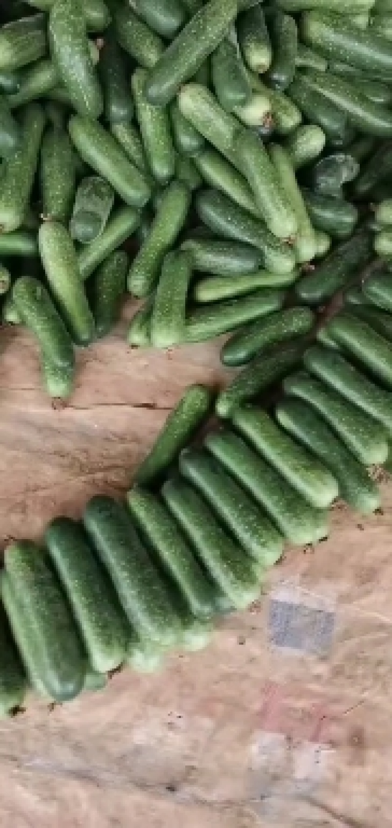 货源充足