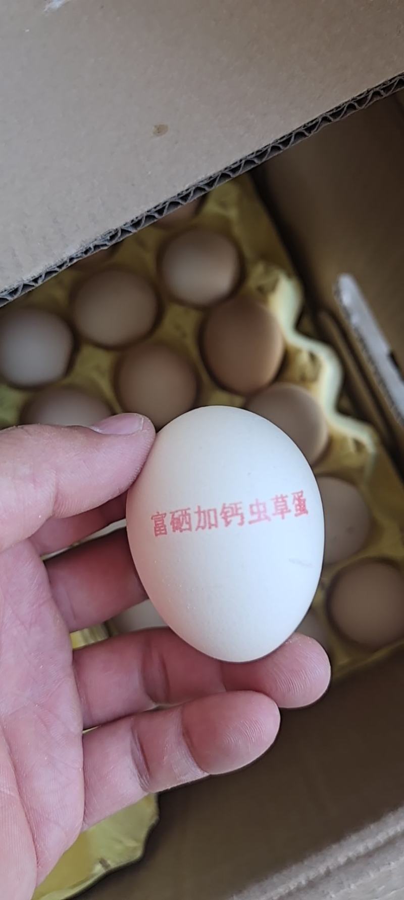 富硒加钙虫草蛋，全国发货