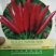 辣椒种子天虹969朝天椒早熟，详细介绍请看包装说明谢