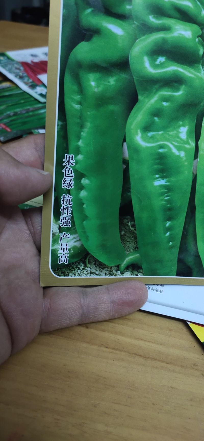 螺丝辣椒种子螺旋风早熟粗长螺丝椒株型健壮长42厘
