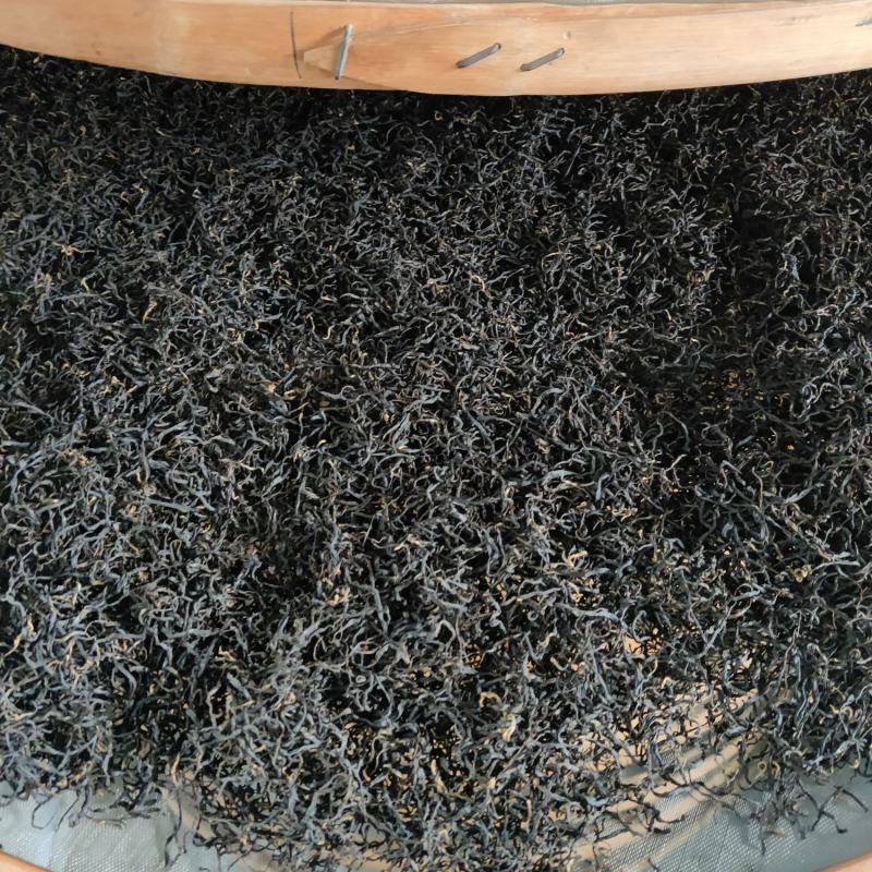 保靖县苗民农家自产保靖黄金茶（保靖黄金茶1号红茶）