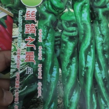 螺丝辣椒种子味辣深绿早熟，耐低温，抗，病。果绿色节间短