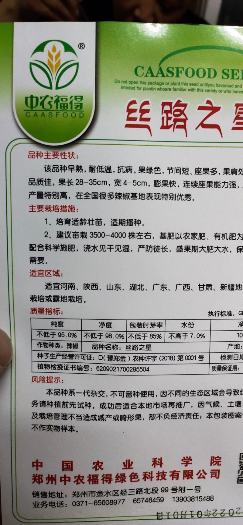 螺丝辣椒种子味辣深绿早熟，耐低温，抗，病。果绿色节间短