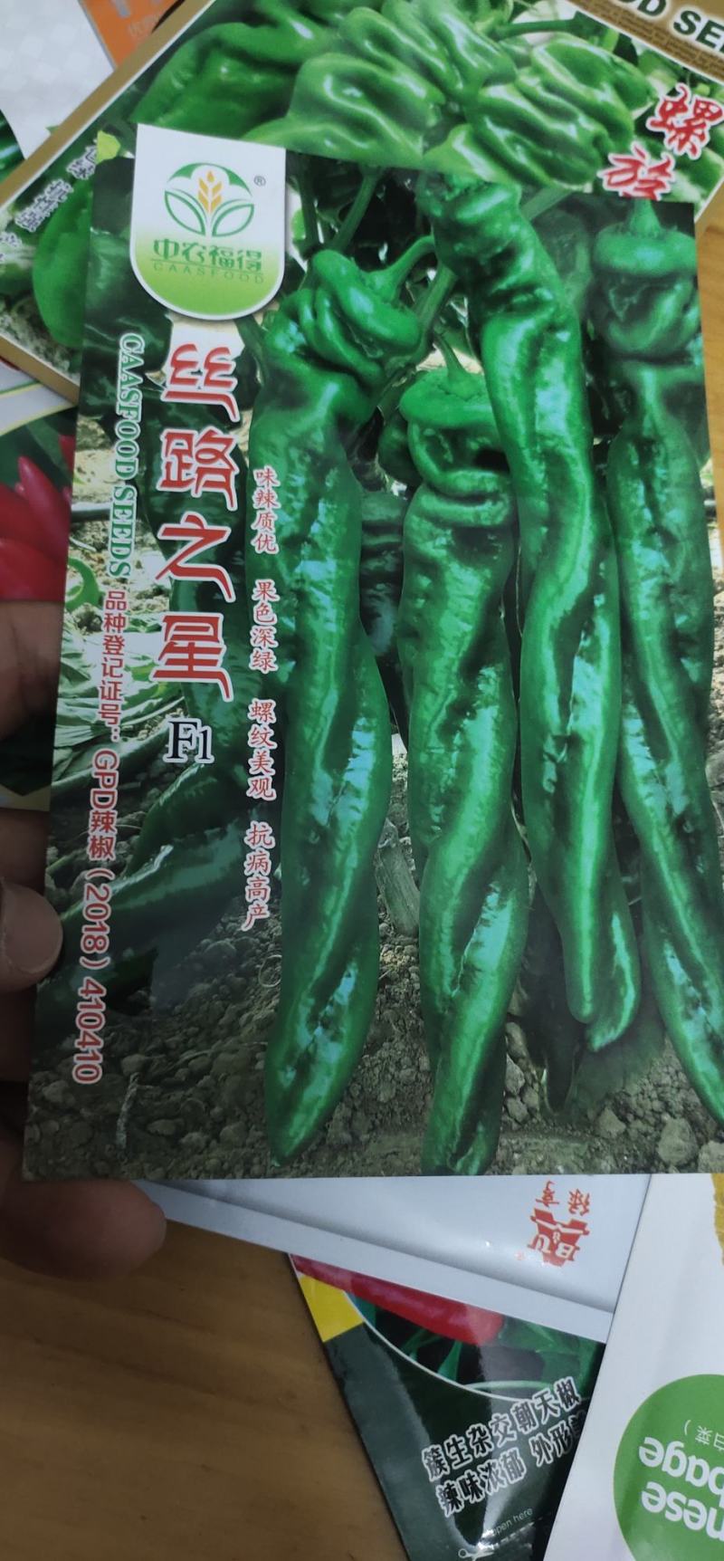 螺丝辣椒种子味辣深绿早熟，耐低温，抗，病。果绿色节间短