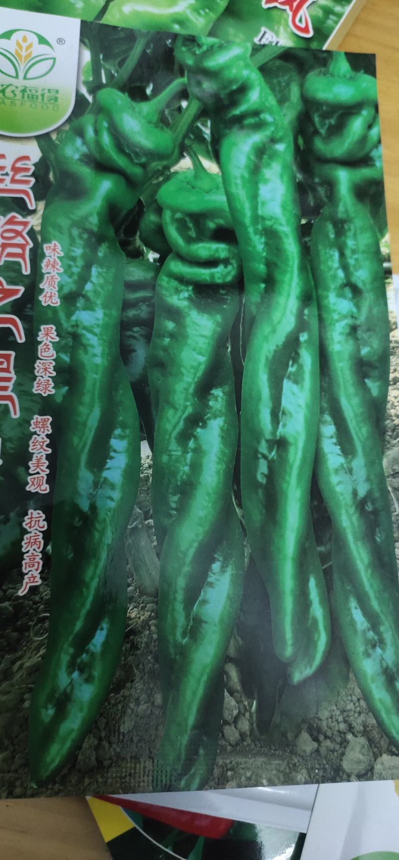 螺丝辣椒种子味辣深绿早熟，耐低温，抗，病。果绿色节间短
