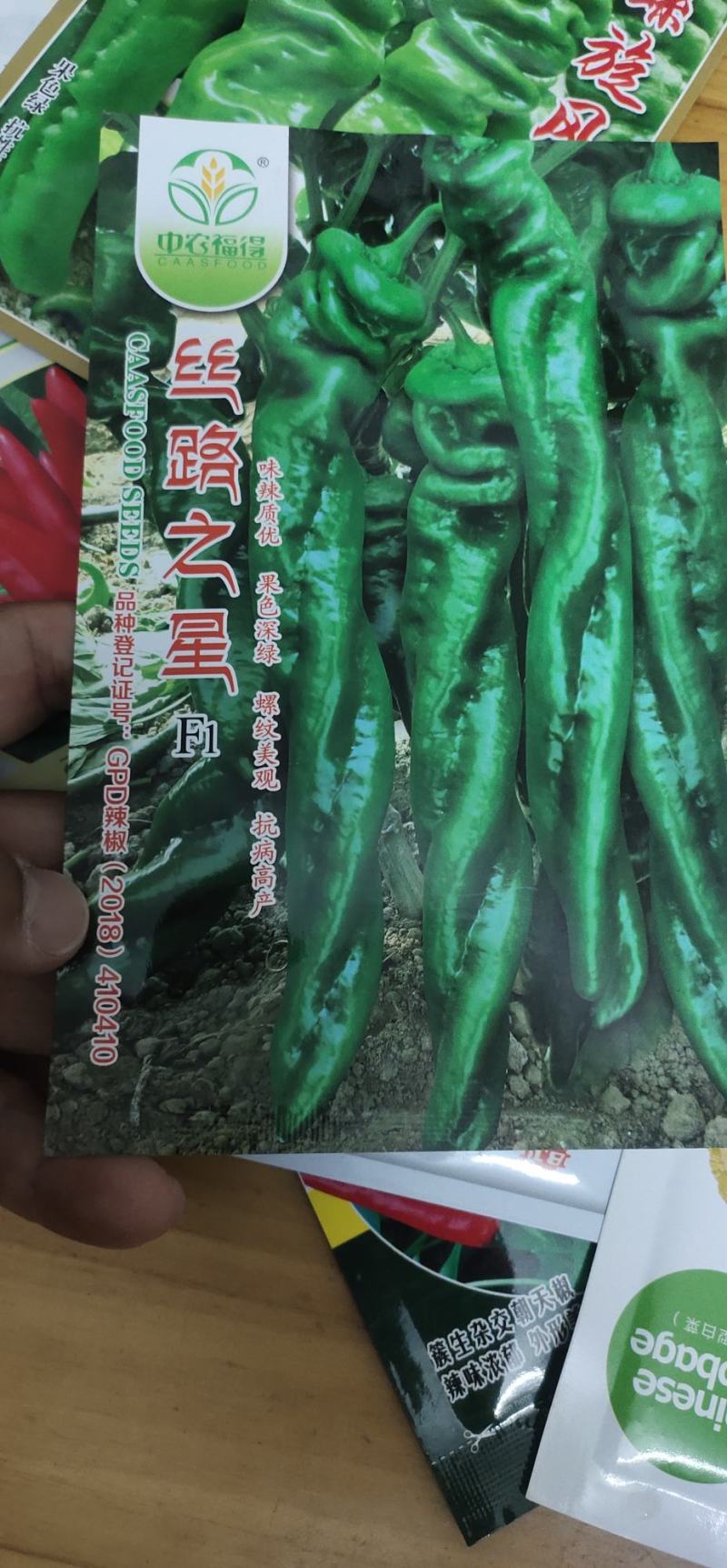 螺丝辣椒种子味辣深绿早熟，耐低温，抗，病。果绿色节间短