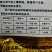 青梗菜种子