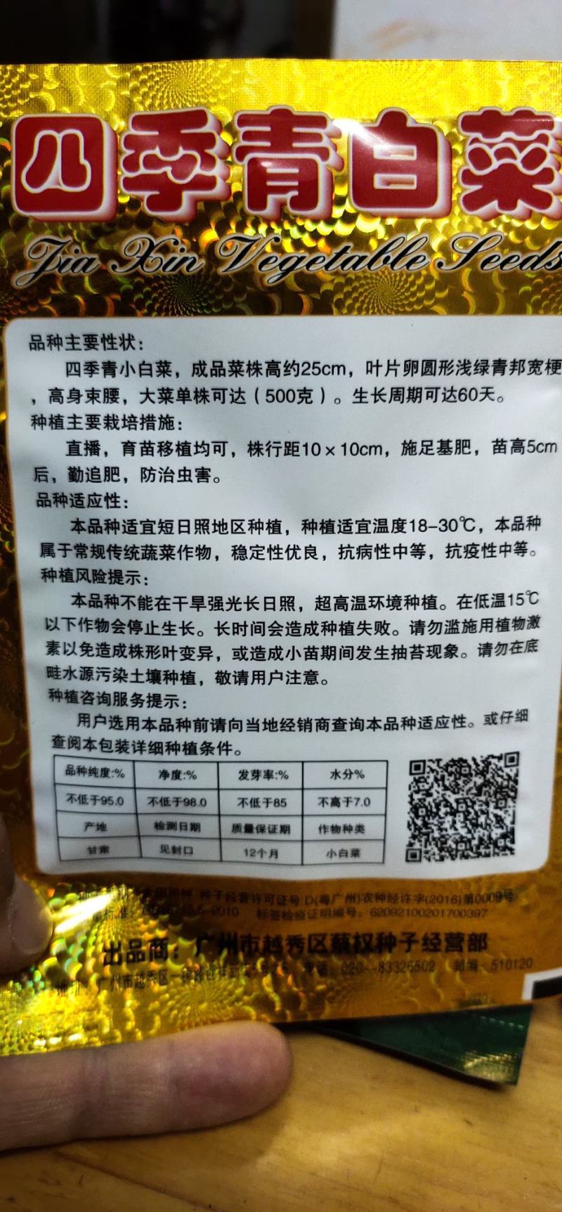 青梗菜种子