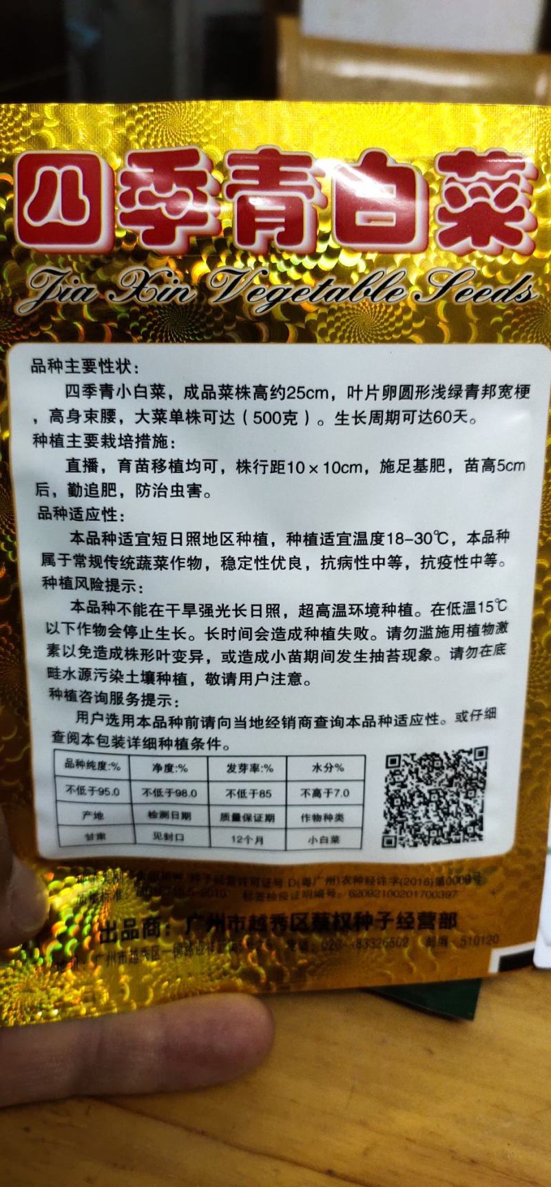 青梗菜种子