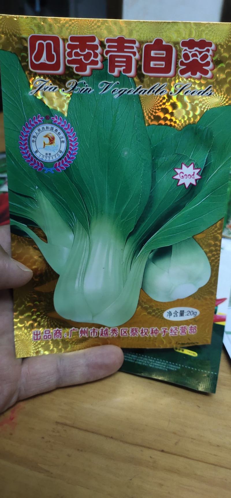 青梗菜种子