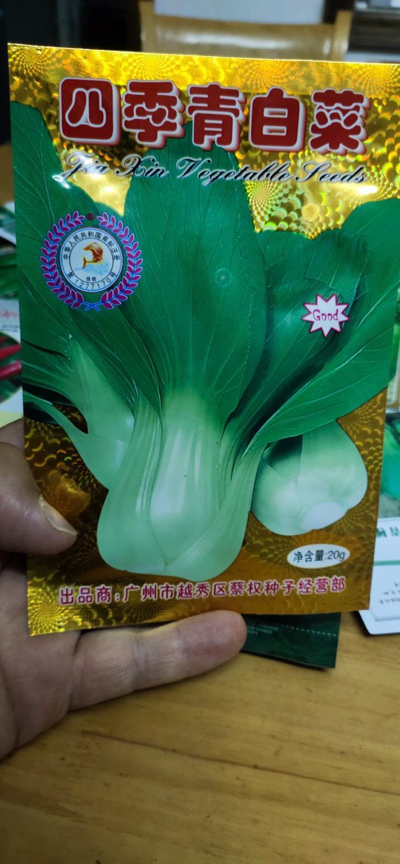 青梗菜种子
