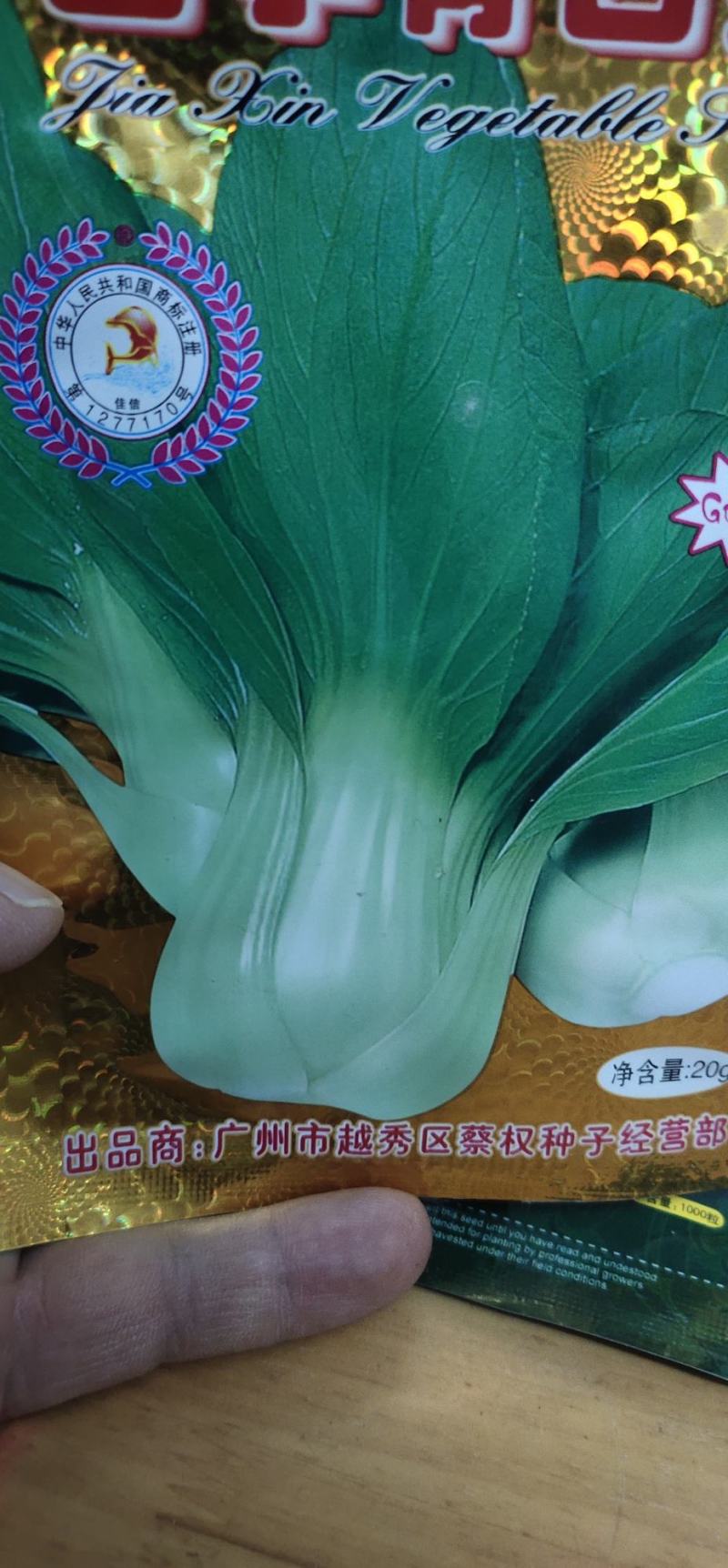 青梗菜种子
