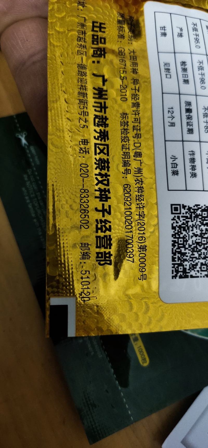 青梗菜种子