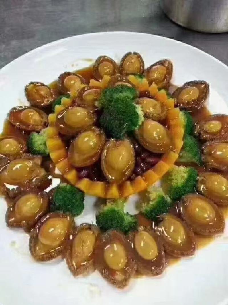 【推荐】广西北部湾天然活冻鲍鱼，品质保证，诚信经营