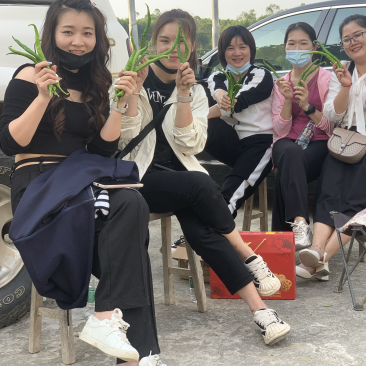 本基地大量出货95号螺丝椒，二荆条，小米椒