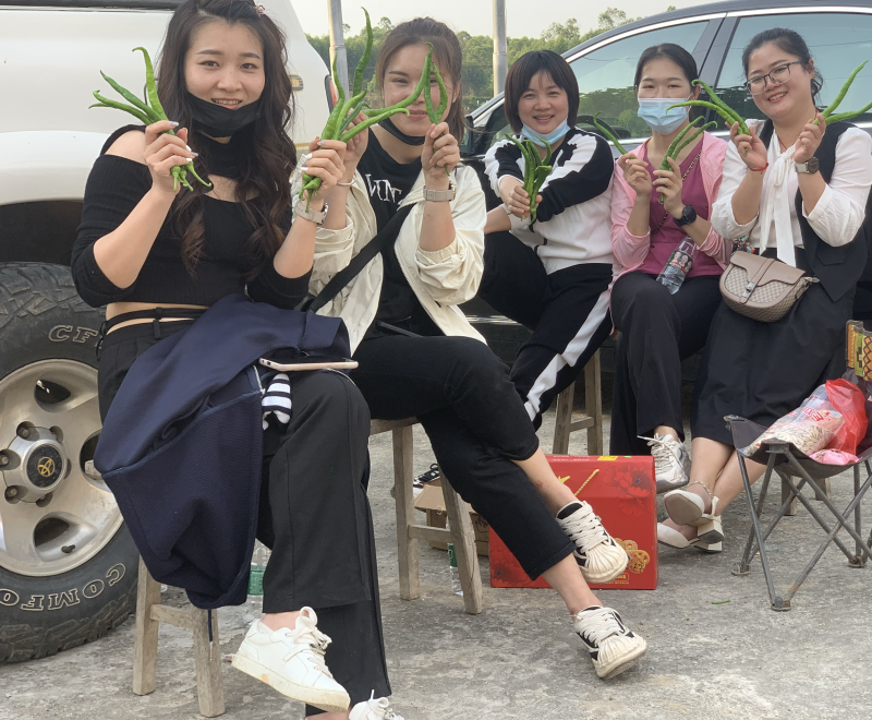 本基地大量出货95号螺丝椒，二荆条，小米椒