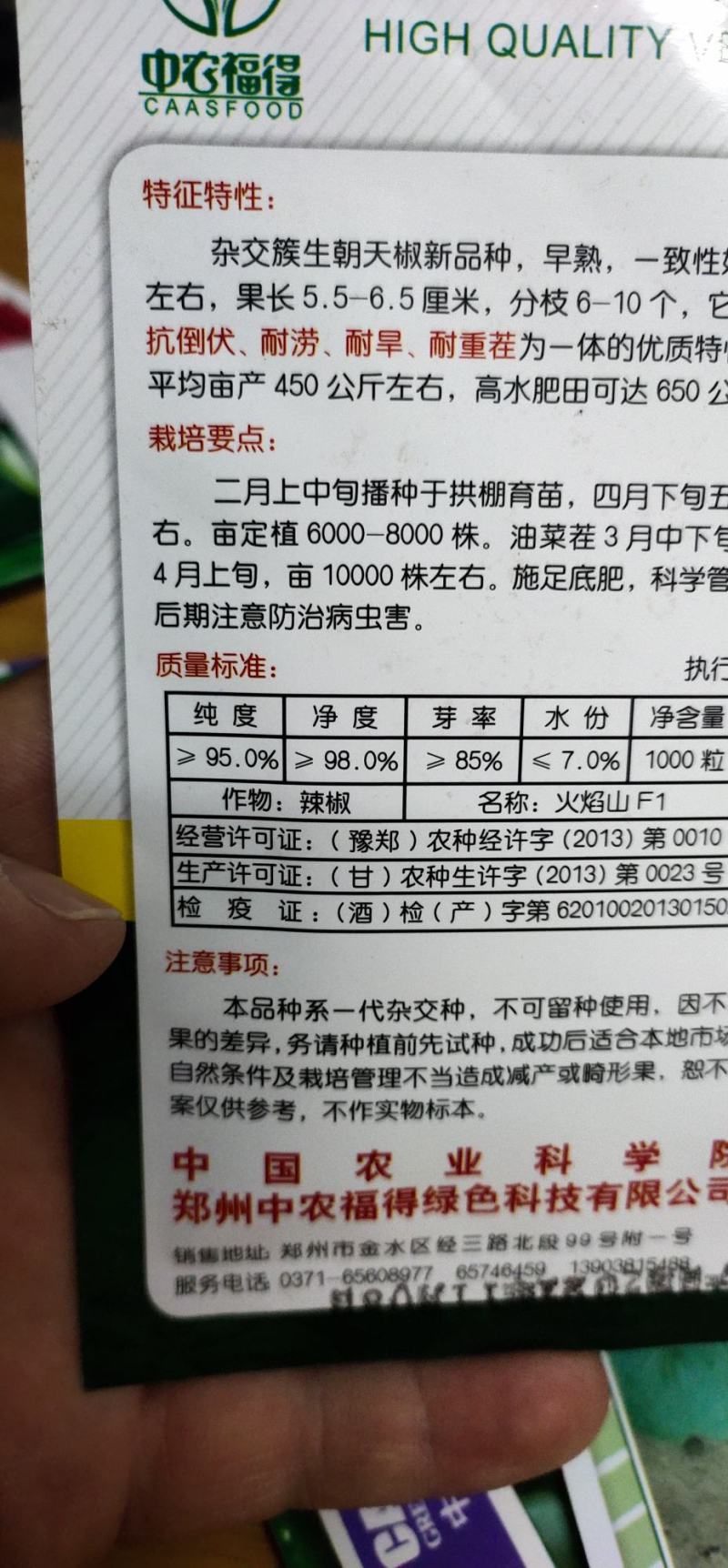 辣椒种子朝天椒火焰山早熟辣味浓、皮厚，详细介绍请看