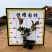 【红叶石楠火焰红红罗宾】各种规格欢迎咨询详谈