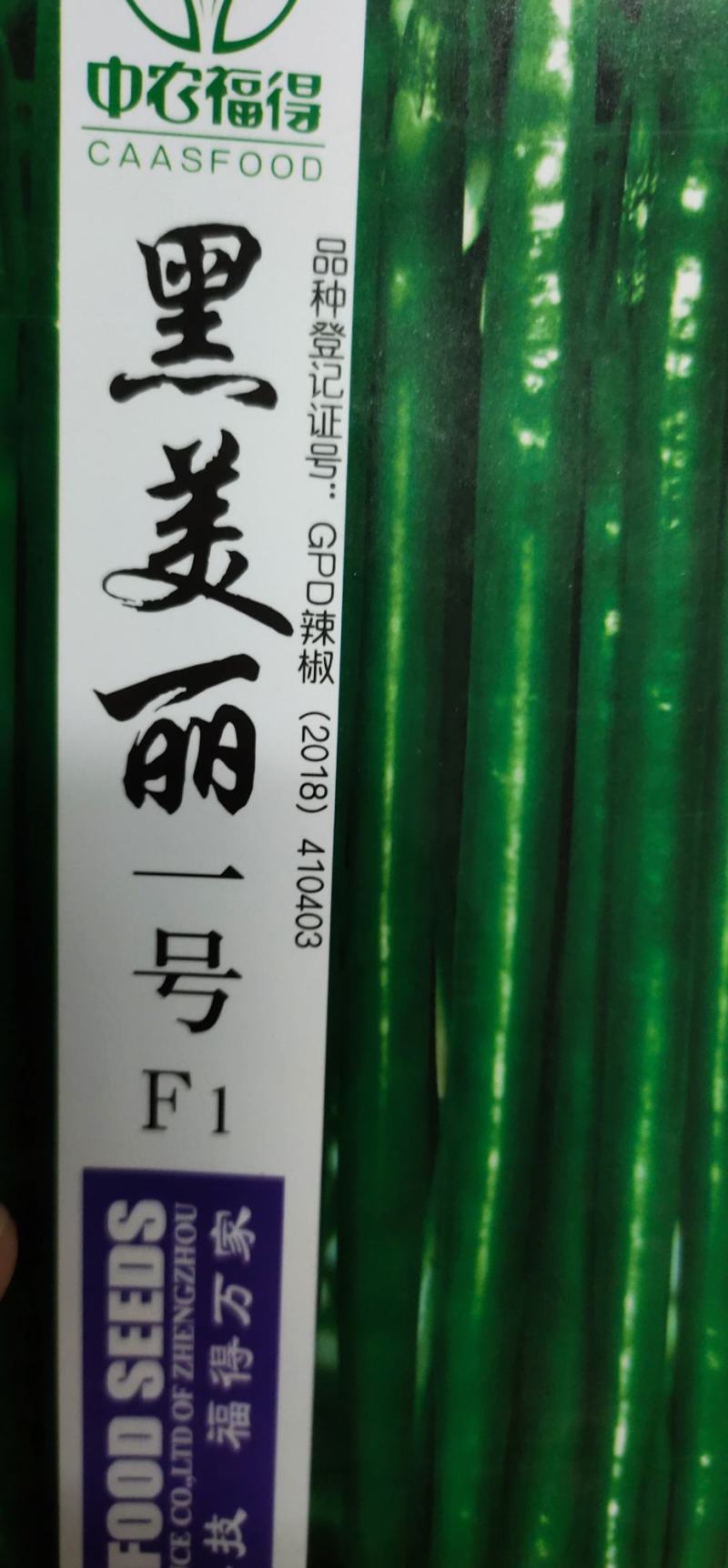 辣椒种子黑美丽一号线椒种子果面光滑顺直，肉厚皮薄
