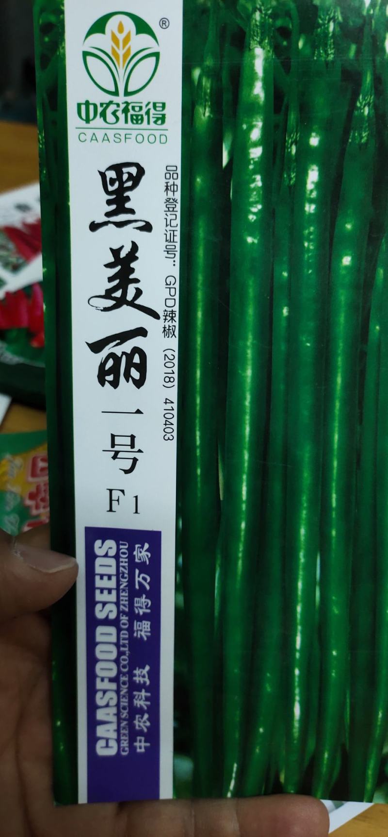 辣椒种子黑美丽一号线椒种子果面光滑顺直，肉厚皮薄