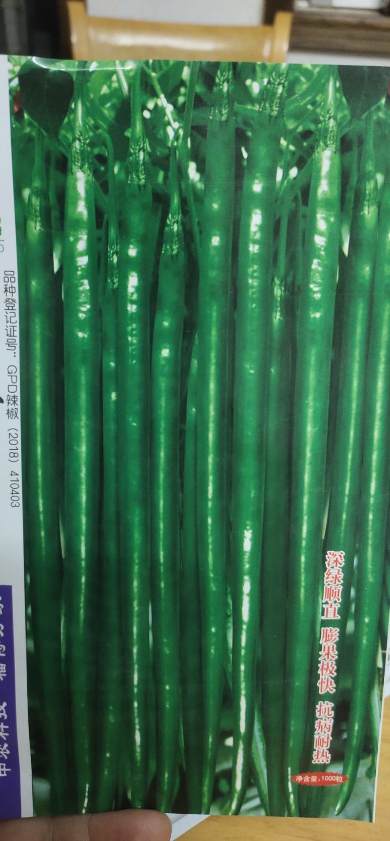 辣椒种子黑美丽一号线椒种子果面光滑顺直，肉厚皮薄