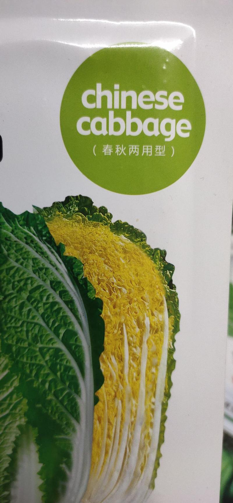 黄心白菜种子新美159外叶浓绿内叶金黄，内叶片直立，