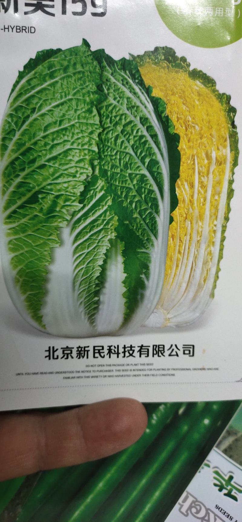 黄心白菜种子新美159外叶浓绿内叶金黄，内叶片直立，