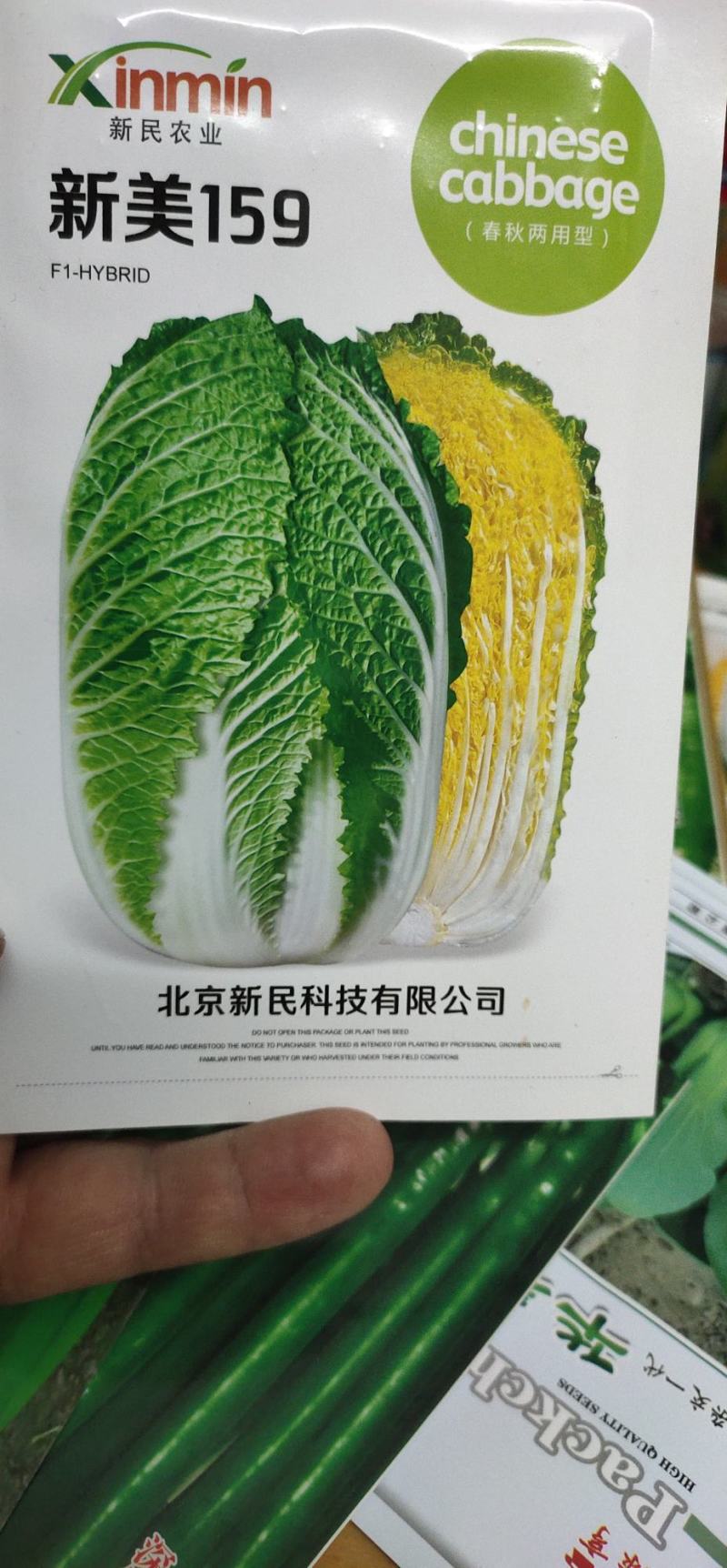 黄心白菜种子新美159外叶浓绿内叶金黄，内叶片直立，
