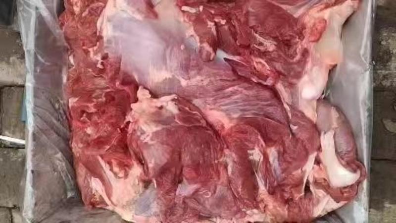 国产纯干冷冻大牛肉，样品如图，手里现货，内蒙草原大牛肉