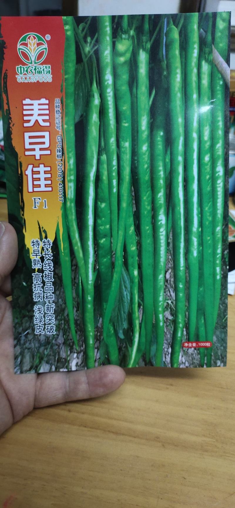 辣椒种子长线椒种子长果、早熟、果长45厘米