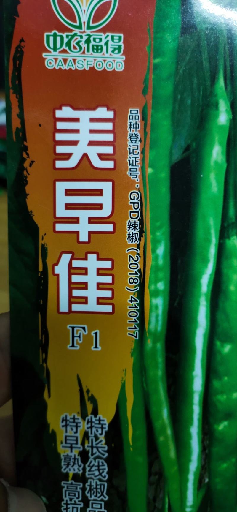 辣椒种子长线椒种子长果、早熟、果长45厘米