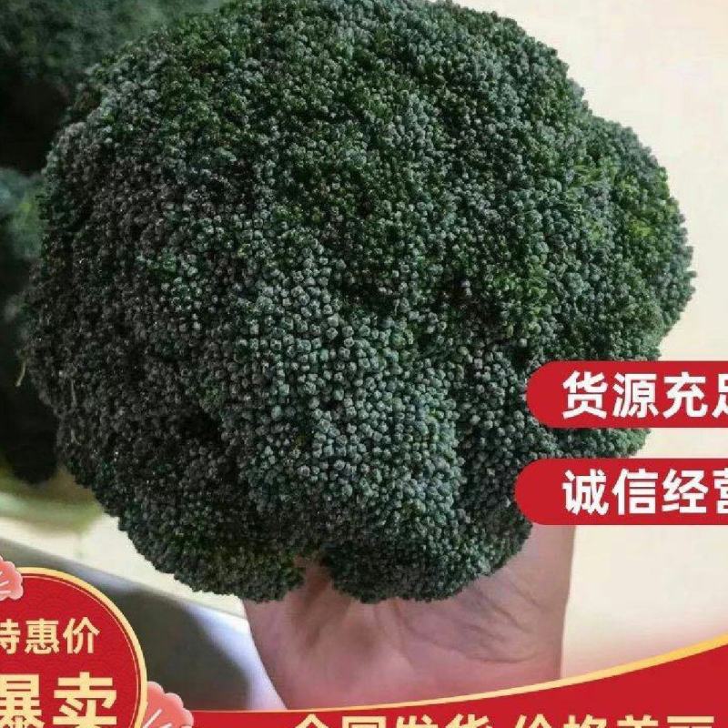 西兰花，小米粒，颜秀西兰花，万亩基地，全国代发代收