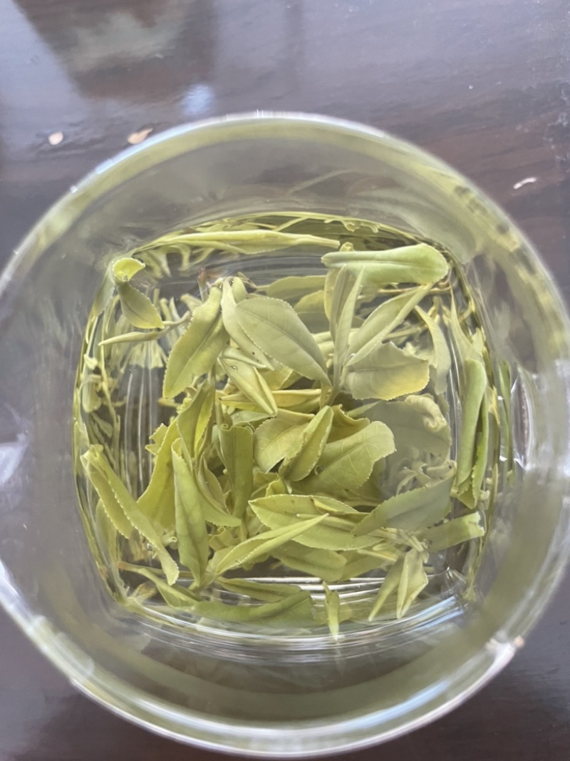 霍山雨前高山野茶