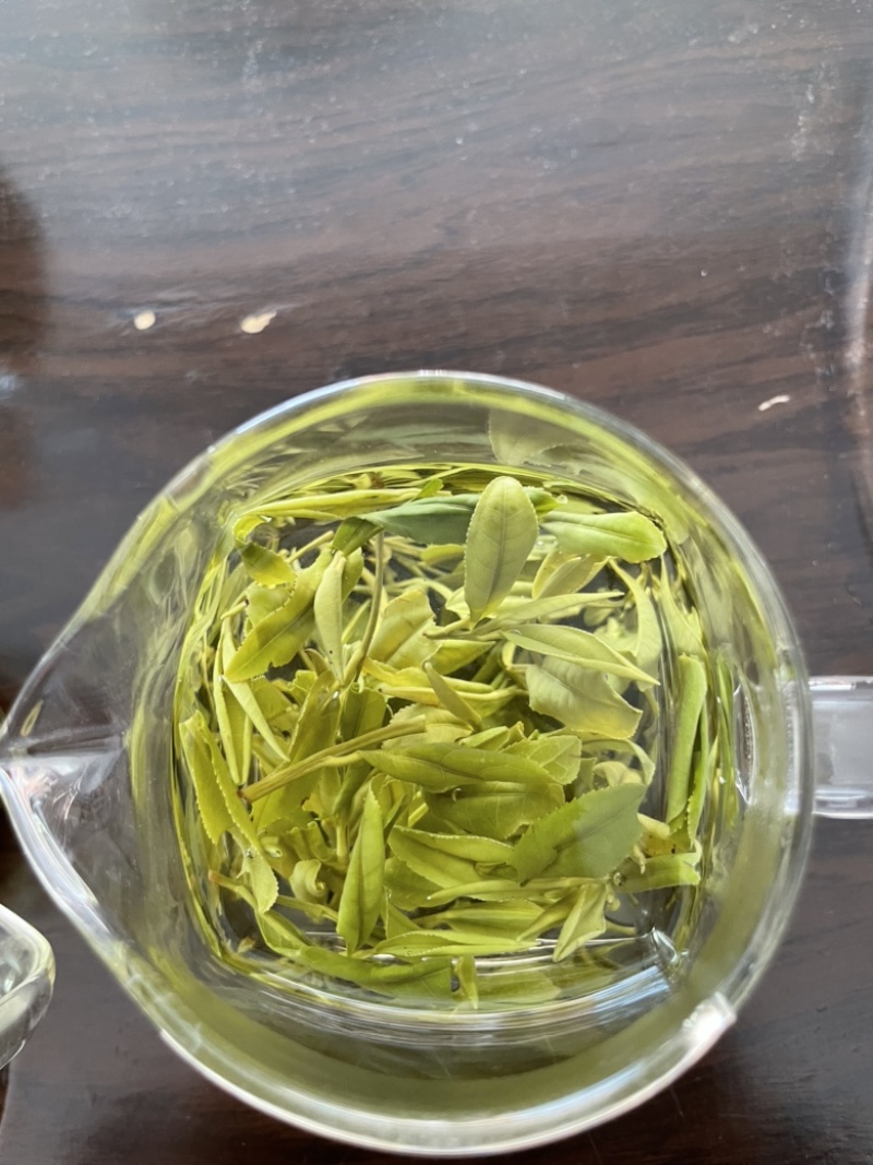 霍山雨前高山野茶