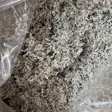 龙须茶莓茶嫩芽明前藤茶富硒茶