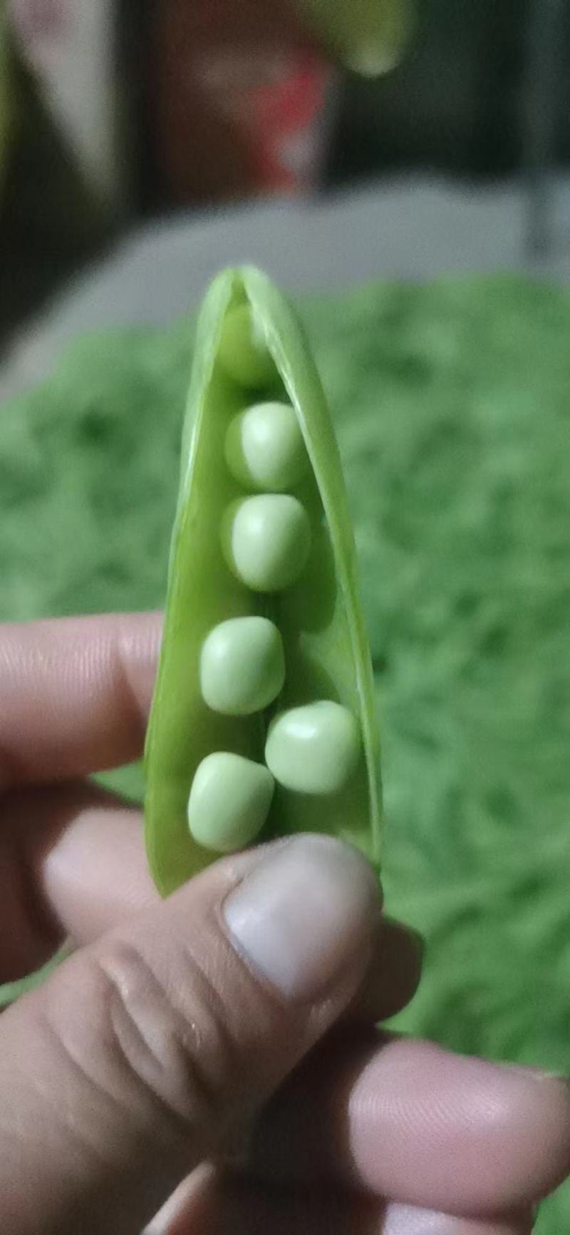 代办服务碗豆角，大量上市