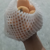 枇杷