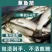 抗病毒草鱼苗，长江草鱼苗，已打疫苗，支持全国发货