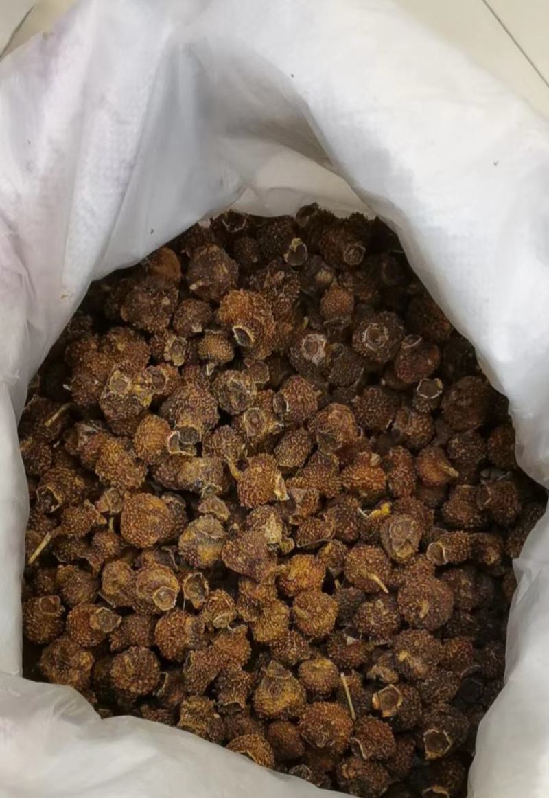 干刺梨交通方便品质优良产地一手货源
