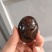 湖南特大松花皮蛋批发无铅工艺，口感好，湖南胜品蛋业出品