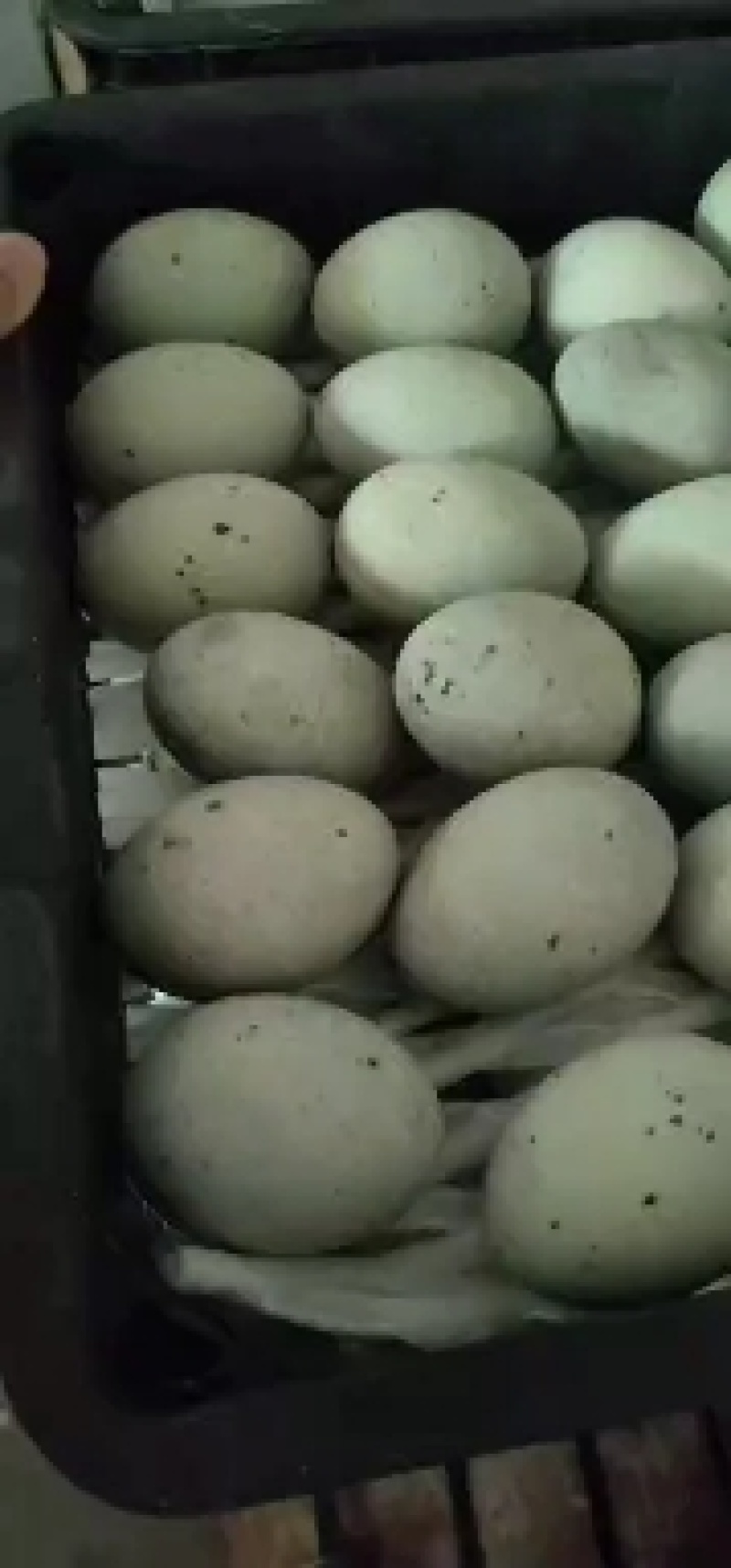 湖南特大松花皮蛋批发无铅工艺，口感好，湖南胜品蛋业出品