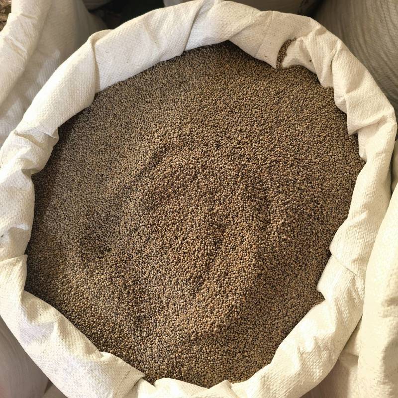 炒香附个精选货物美价廉重在品质百信药业欢迎选购