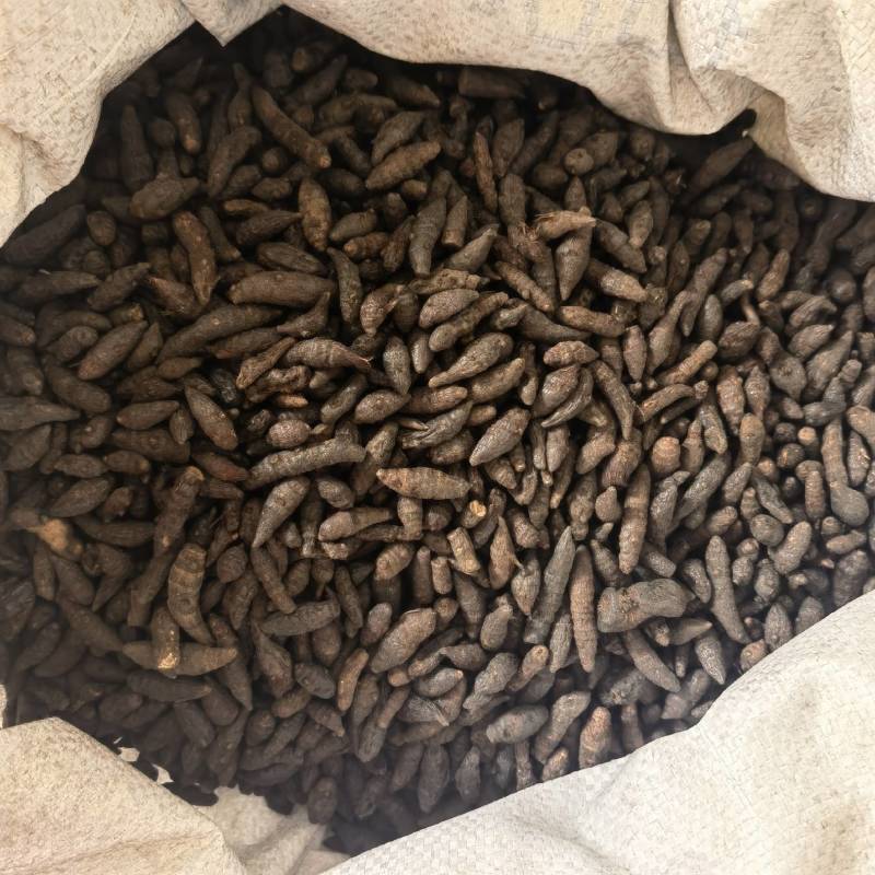 炒香附个精选货物美价廉重在品质百信药业欢迎选购