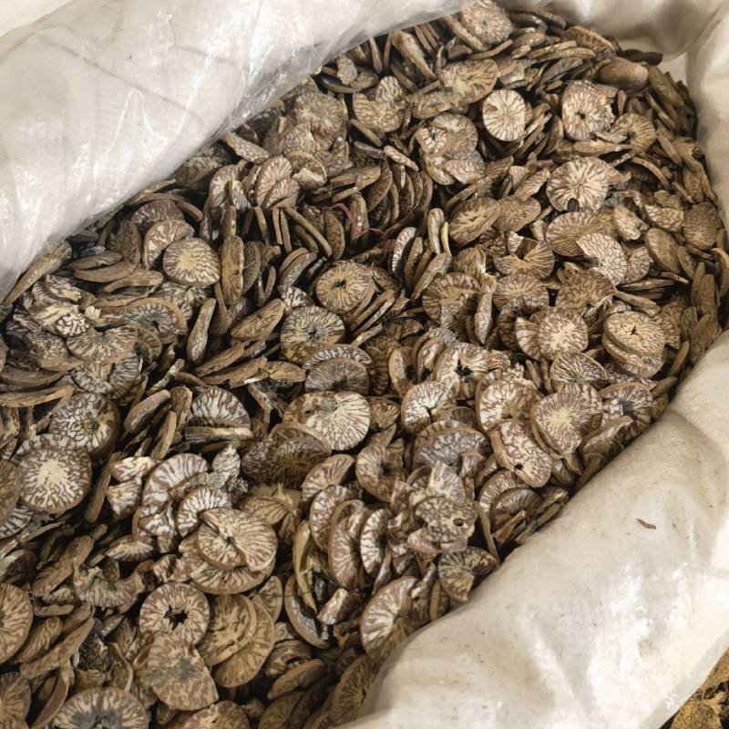 炒香附个精选货物美价廉重在品质百信药业欢迎选购