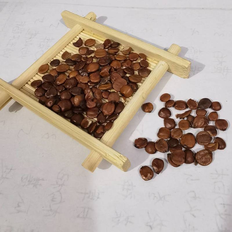 生香附个货源充足当天发货新店开业量大从优颜色好