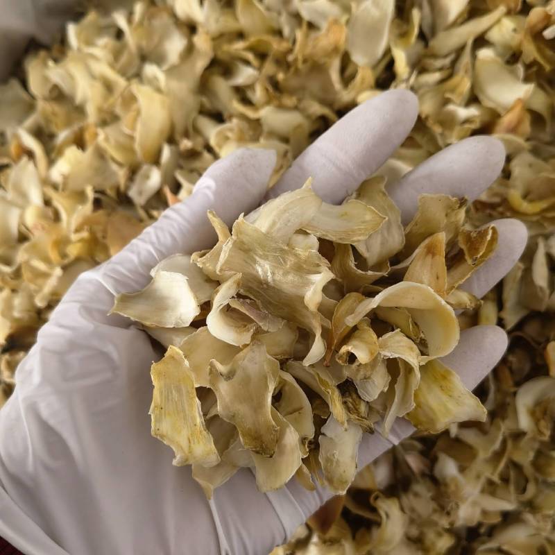 生香附个货源充足当天发货新店开业量大从优颜色好