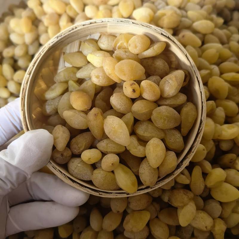 生香附个货源充足当天发货新店开业量大从优颜色好