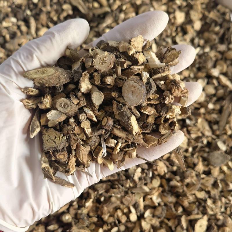 前胡实图拍摄今年新货量大从优一手货源百信药业