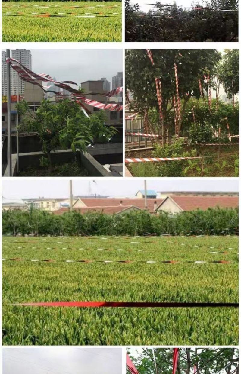 驱鸟彩带反光带驱鸟双面闪光带农田果园池塘养殖场阳台驱鸟器