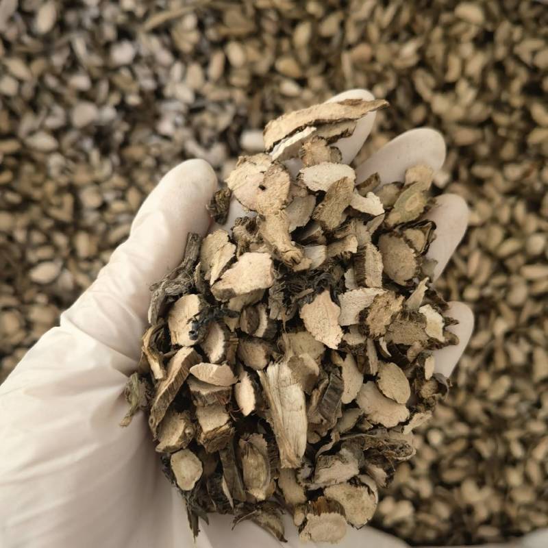 水菖蒲物美价廉新店开业量大从优一手货源百信药业